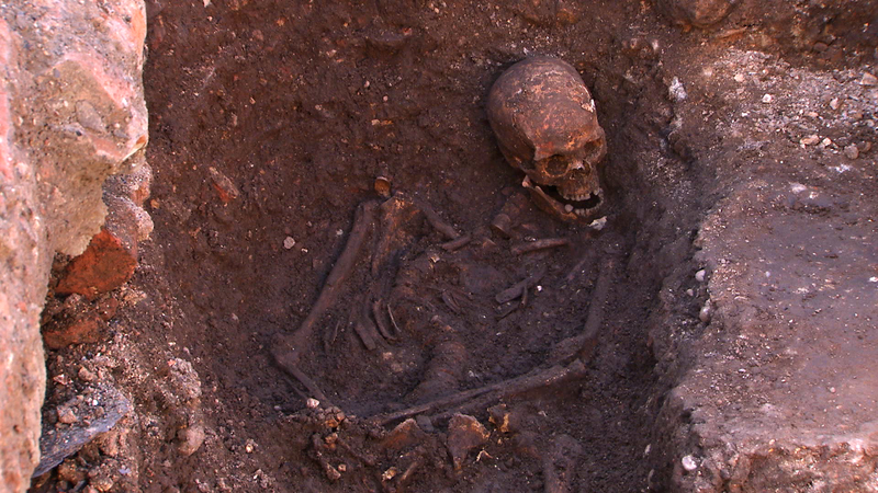 Illustration for article titled King Richard III's Remains Have Been Confirmed To 99.999% Accuracy